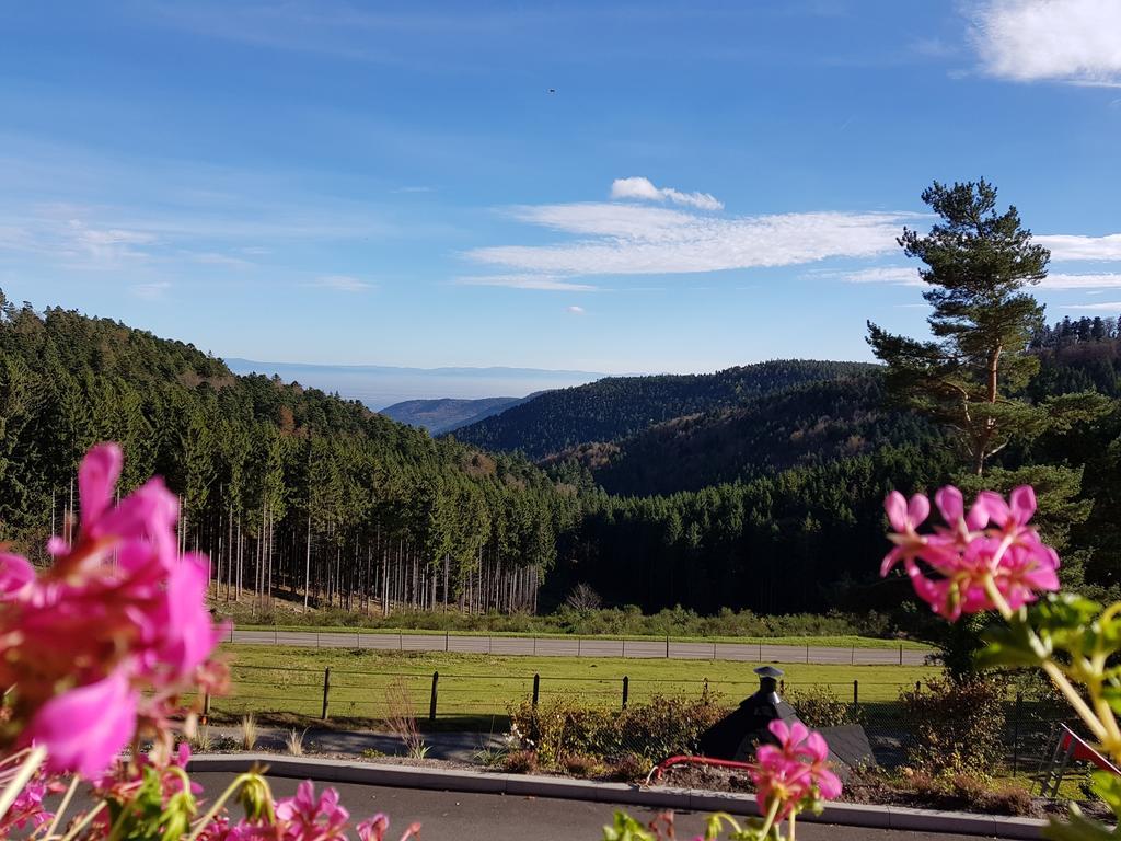 Les Gites D'Adelspach Gites & Spa En Alsace Aubure Esterno foto